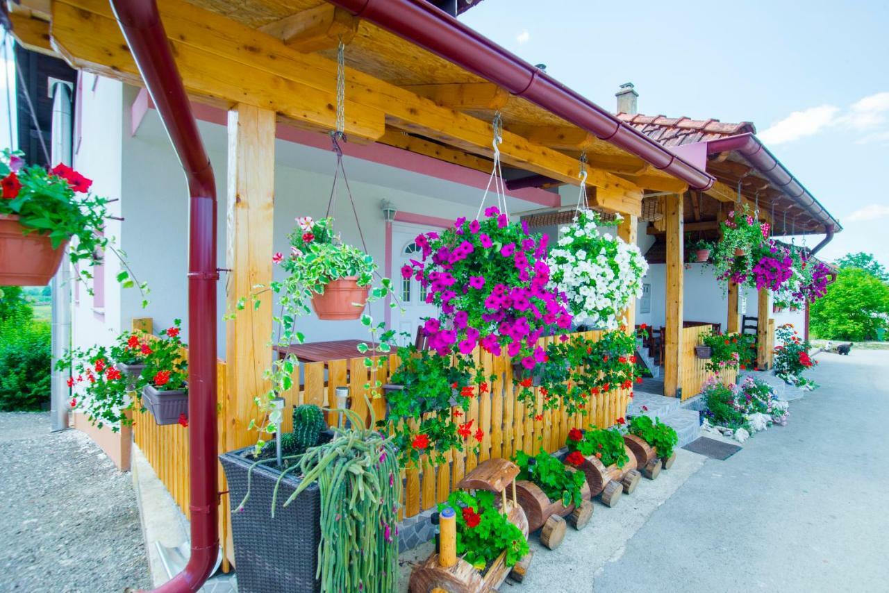 Guesthouse Ella Slunj Dış mekan fotoğraf
